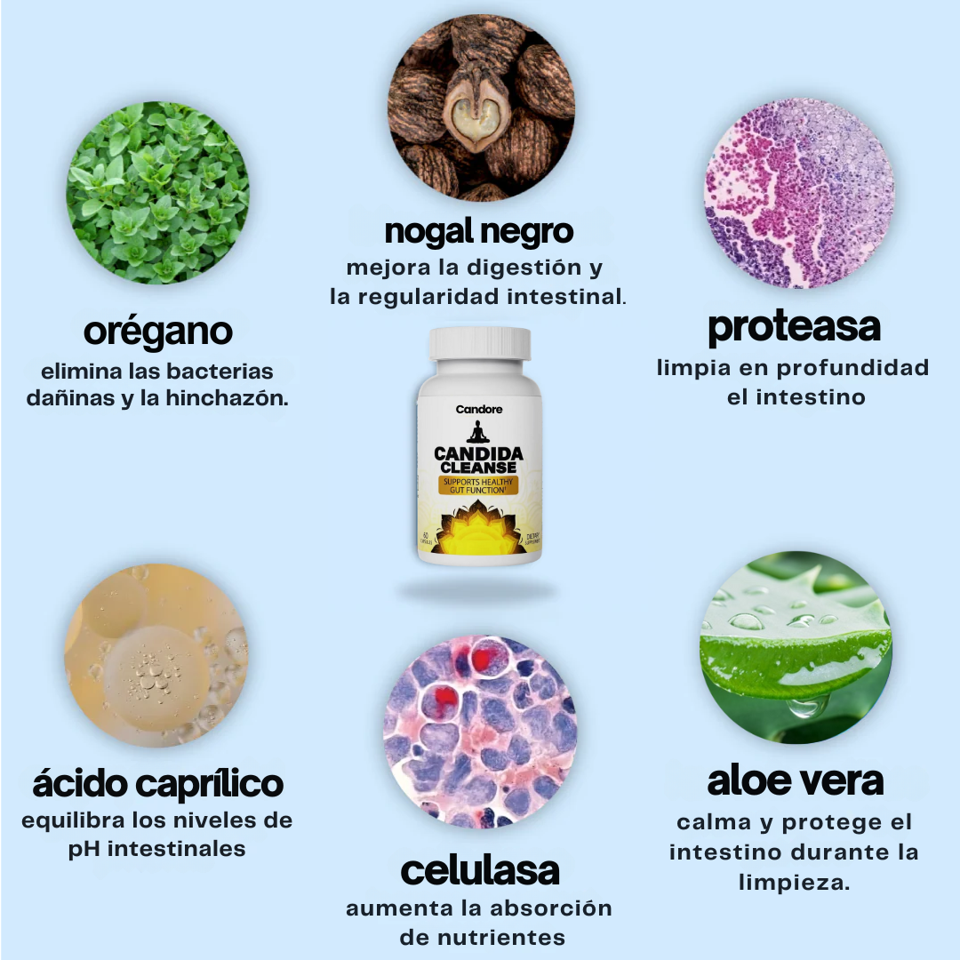 candina cleanse - para una mejor salud intestinal