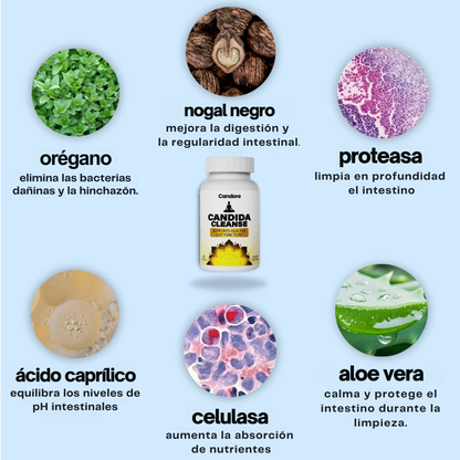 candina cleanse - para una mejor salud intestinal