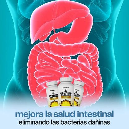 candina cleanse - para una mejor salud intestinal